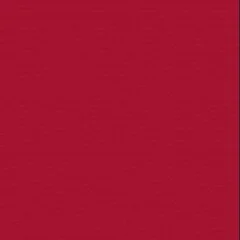 3M Littmann® Lightweight II S.E. Stethoscope – Burgundy - Image 3