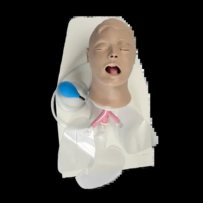 ‘Airway Larry’ Adult Airway Management Trainer with Stand