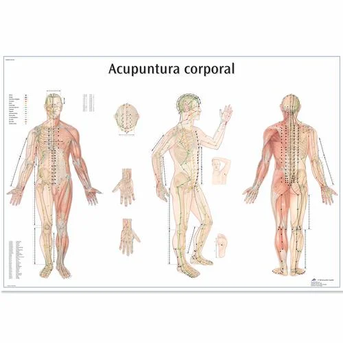 Acupuntura corporal – 1001959
