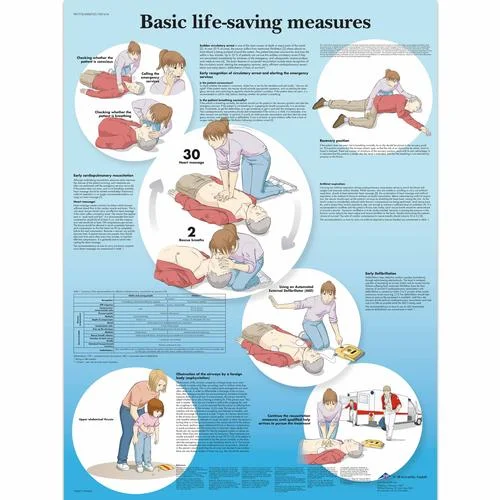 Basic Life Support Chart – 1001616