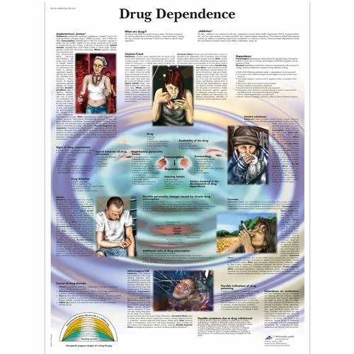 Drug Dependence Chart – 4006726