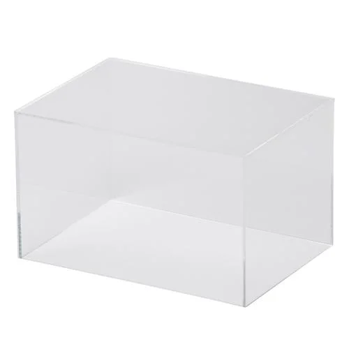 Showcase for ‘Stuffed pigeon and pigeon skeleton’ – 1021345