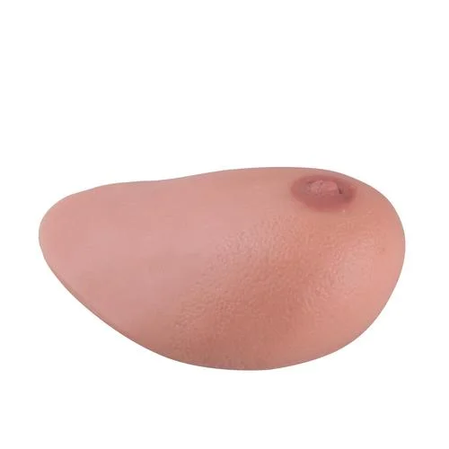 SONOtrain Ultrasound Chest Model with Tumors – Spare Chest – 1019650