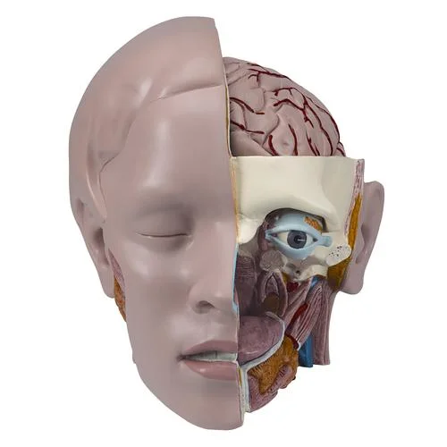 Spare head, 3 parts – 1020661