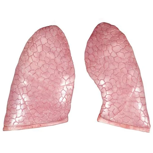 Spare lungs, 2 items – 1020665