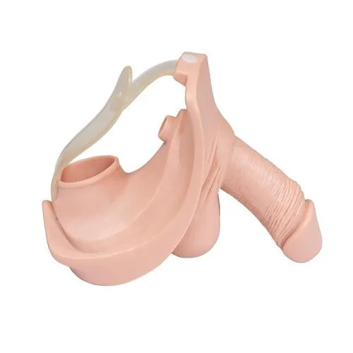 Spare male genital insert for P11 – 1020717
