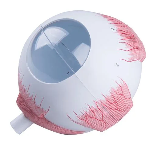 Spare sclera for F10, F11 and F12 – 1020691